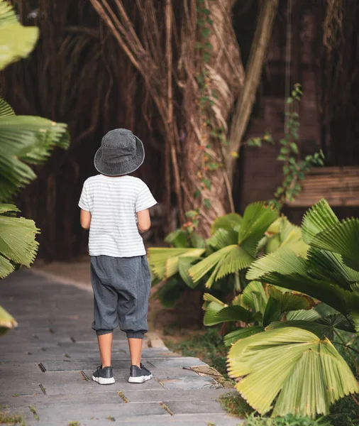 Visão Traseira Menino Andando Jardim Tropical Fotografia De Stock