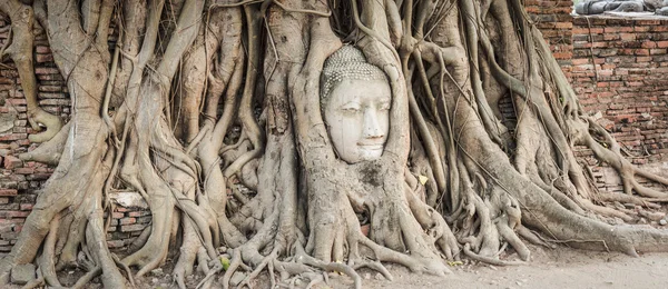 Cabeza de Buda en Wat Mahatat — Foto de Stock