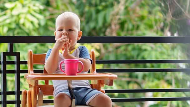 Toddler chłopiec żuje kok — Wideo stockowe