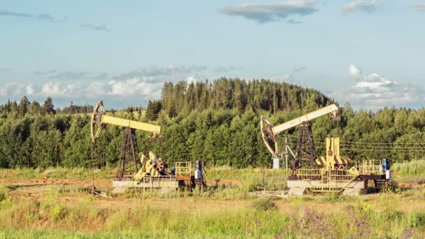 Oil pump on the forest background — Stock Video