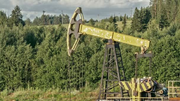 Pompa dell'olio sullo sfondo della foresta — Video Stock