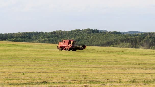 Kombinera skördetröska — Stockvideo