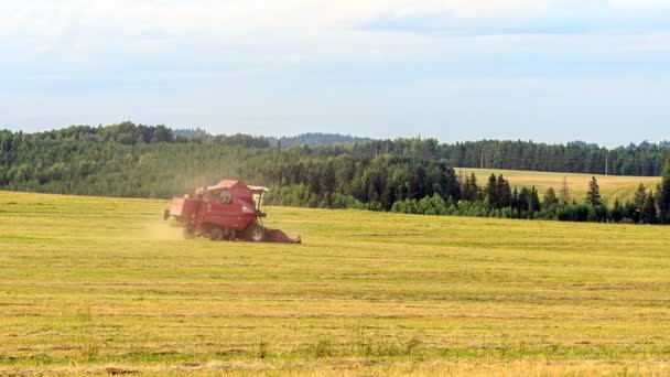 Combine harvester — Stock Video