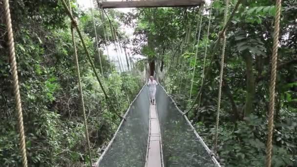 Mujer caminando por la pasarela del dosel de la selva tropical — Vídeos de Stock