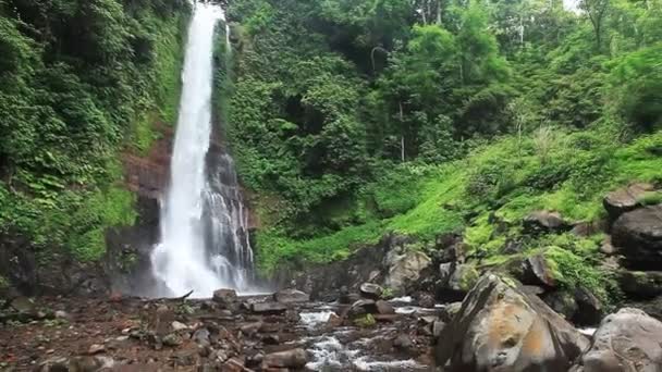 Cascada en selvas tropicales — Vídeos de Stock