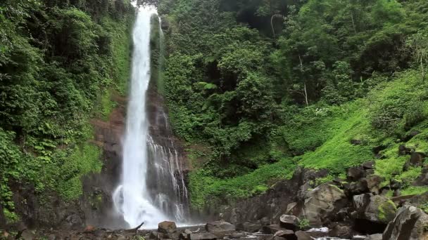 Waterfall in tropical jungles — Stock Video