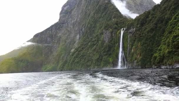 Vue sur le fjord Milford Sound — Video