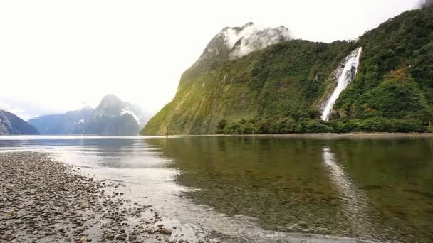 Vista sobre Milford Sound Fjord — Vídeo de Stock