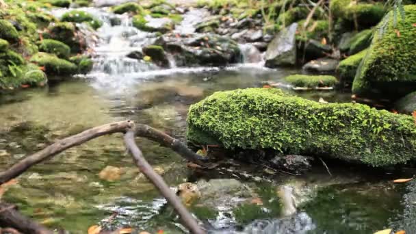 Crystal clear spring — Stock Video
