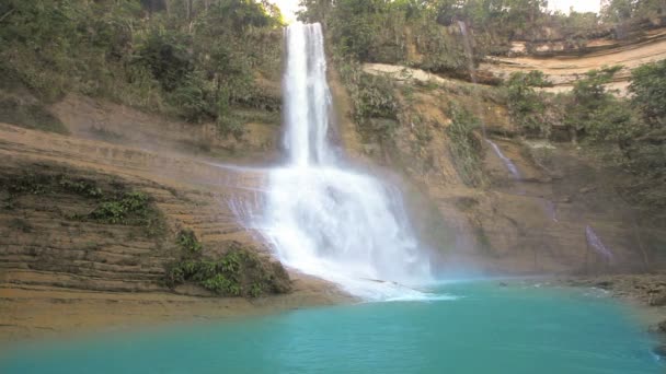 Waterfall in tropical forest — Stock Video