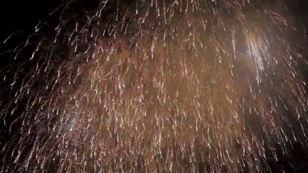 Fuegos artificiales en el cielo — Vídeo de stock