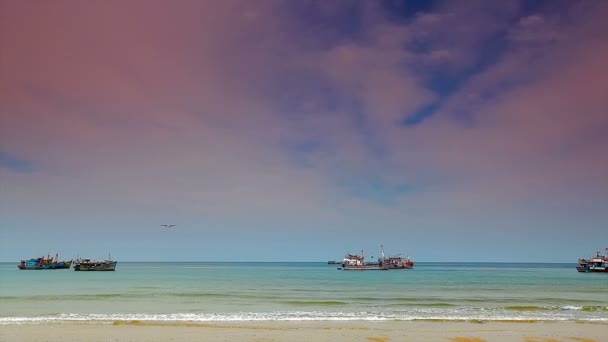 Flugzeug landet auf einer tropischen Insel — Stockvideo