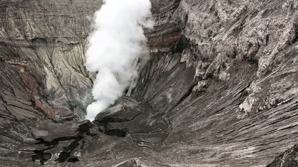 Vista dentro del cráter Bromo . — Vídeo de stock