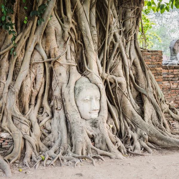 Buddha-fej, a Wat Mahathat — Stock Fotó