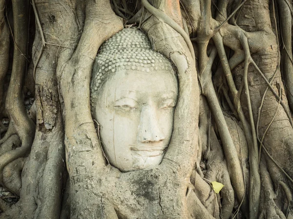 Голова Будды в Ват-Махате — стоковое фото