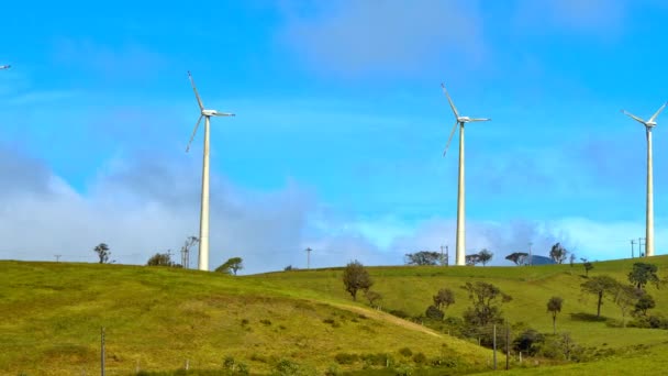 Des éoliennes sur une colline verte — Video