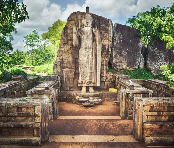 Estatua de Buda Avukana — Foto de Stock