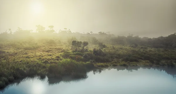 Horton Plains. Sunrise — Stockfoto