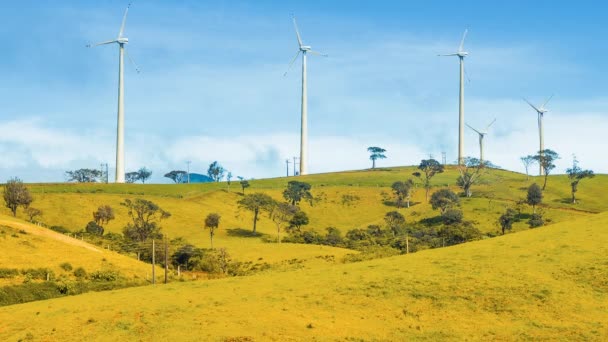 Des éoliennes sur une colline verte — Video