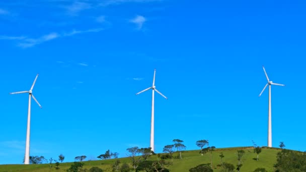 Вітрові турбіни на зеленому пагорбі — стокове відео