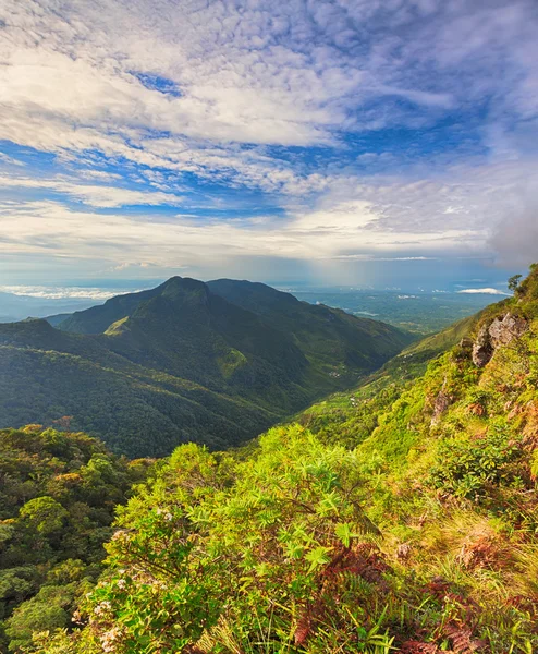 Koniec świata. Horton Plains — Zdjęcie stockowe