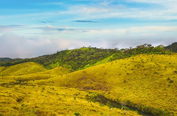 De Horton Plains — Stockfoto