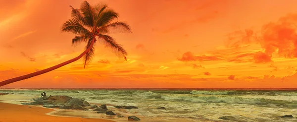 Solnedgång över havet. Panorama — Stockfoto