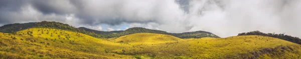 Horton Plains — Stockfoto