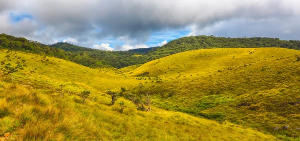 The Horton Plains. Panorama — Stock Photo, Image