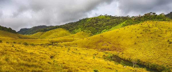 Horton Plains — Zdjęcie stockowe