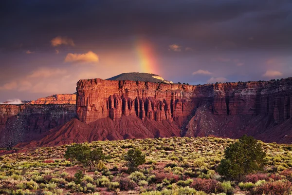 Červené kameny, Utah, Usa — Stock fotografie