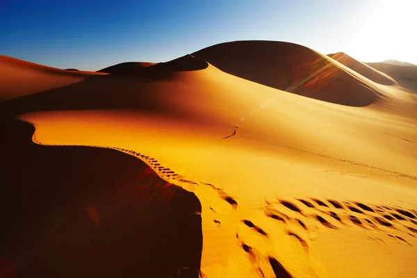 Sahra Çölü, algeria — Stok fotoğraf