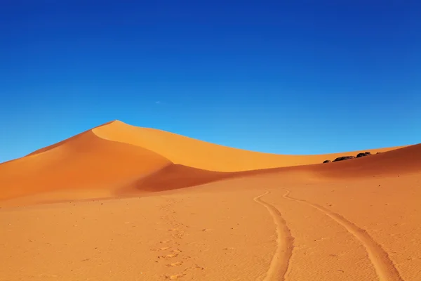 Sahara Desert, Algeria — Stock Photo, Image