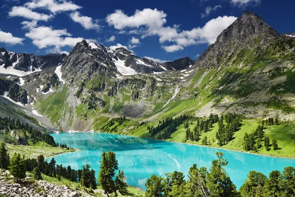 Dağ gölü Altay Telifsiz Stok Imajlar