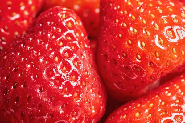 Frische Reife Erdbeeren Hintergrund — Stockfoto