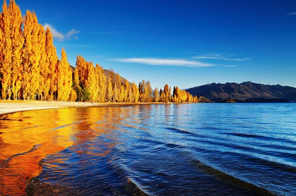 Jezioro wanaka, Nowa Zelandia — Zdjęcie stockowe