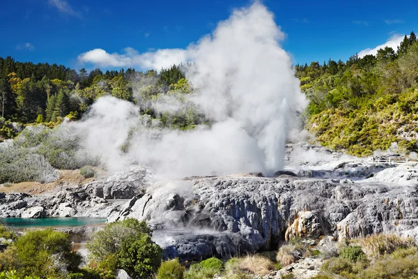 Pohutu Şofben, Yeni Zelanda — Stok fotoğraf