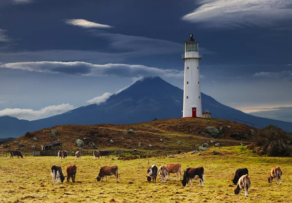 Cape Egmont Lighthouse, New Zealand — Stock Photo, Image