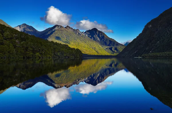 Jezioro gunn, Nowa Zelandia — Zdjęcie stockowe
