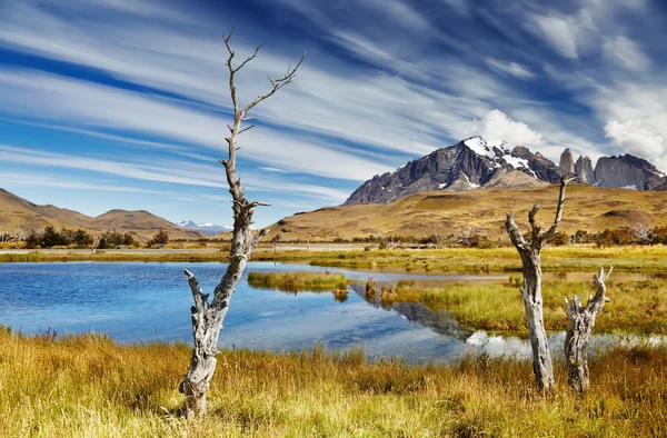 Torres del paine, Χιλή — Φωτογραφία Αρχείου