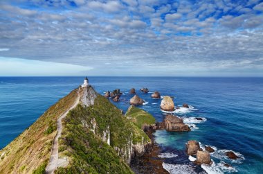 Nugget Point Lighthouse, New Zealand clipart