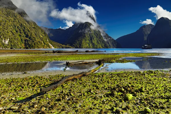 Milford sound, Nowa Zelandia — Zdjęcie stockowe