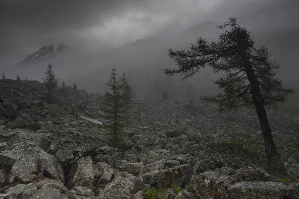 Gloomy mountain valley — Stock Photo, Image