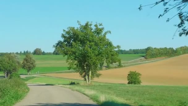 Camino del país en Alemania — Vídeo de stock