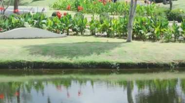 Peyzaj tropikal tatil köyü