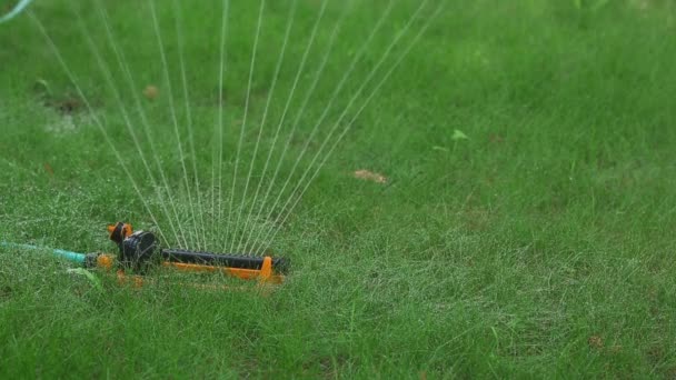 Utrustning för att vattna gräsmattor — Stockvideo