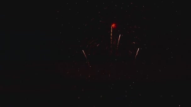 Vuurwerk knippert in de nacht — Stockvideo