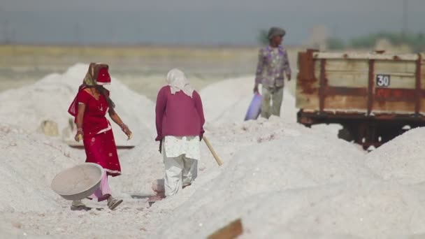 Salzbergbau in Sambhar — Stockvideo