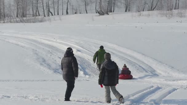 Promenader i en winter park — Stockvideo