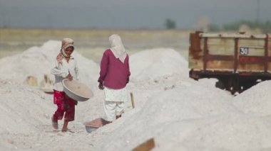 Tuz madenciliği Sambhar içinde